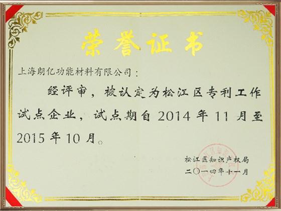松江区专利试点企业